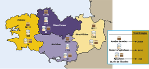 L'apiculture en Bretagne