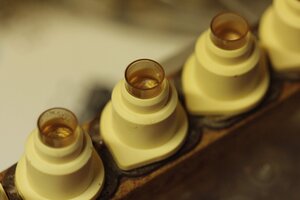 Eleveurs belges de reines - Producteurs d'essaims