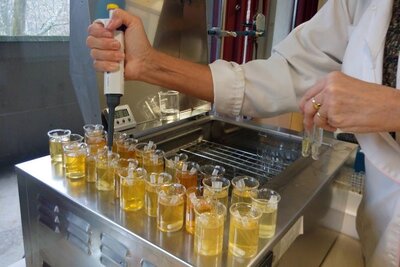 Focus sur l'étiquetage de miels