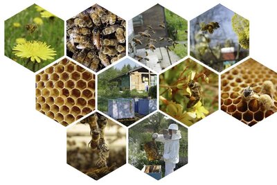 10 posters hexagonales