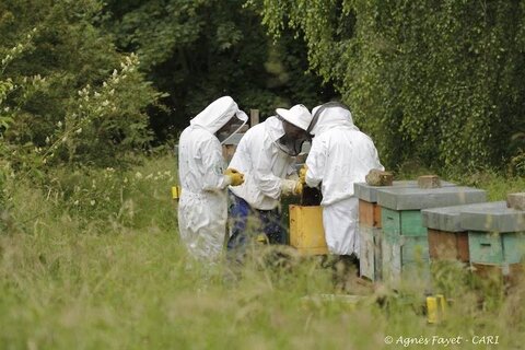 Les actions du CARI Des engagements pour la biodiversité