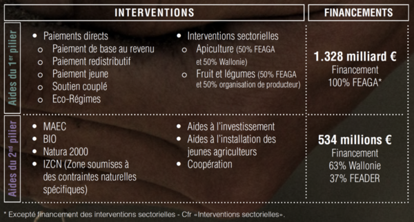 Illustration de l'organisation de la <span class="caps">PAC</span> selon le premier et second pilier - <p>Source : «<small class="fine d-inline"> </small>Les nouvelles de l'agriculture #16<small class="fine d-inline"> </small>», la nouvelle politique agricole commune 2023-2027, page 5</p>