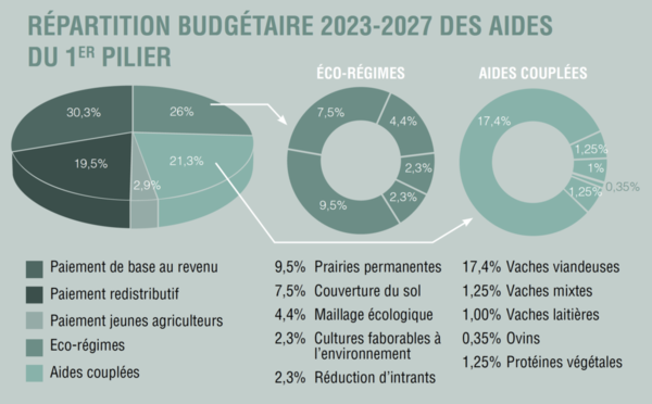 Répartition budgétaire du premier pilier - <p>Source : «<small class="fine d-inline"> </small>Les nouvelles de l'agriculture #16<small class="fine d-inline"> </small>», la nouvelle politique agricole commune 2023-2027, page 12</p> - Source : «<small class="fine d-inline"> </small>Les nouvelles de l'agriculture #16<small class="fine d-inline"> </small>», la nouvelle politique agricole commune 2023-2027, page 12